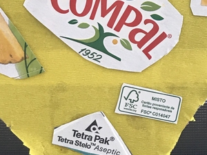 Apontamento Tetrapak e FSC