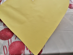 O início do projeto.