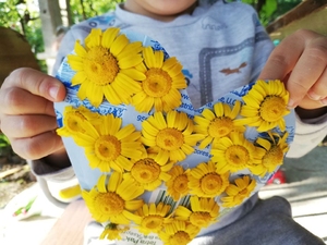 Coração feito com uma embalagem de leite e decorado com flores silvestres.