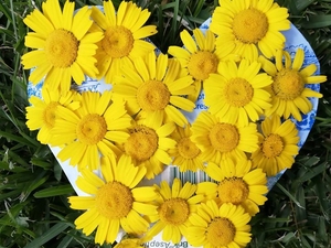 Coração feito com uma embalagem de leite e decorado com flores silvestres.