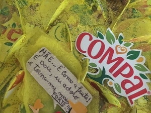 Frases a acompanhar o trabalho: 
                                            Mãe… É como a fruta! É doce, eu adoro e torna-me mais forte!