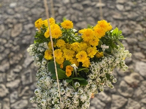 Fotografia geral do Coração Amarelo.