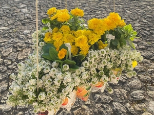 Fotografia geral do Coração Amarelo.