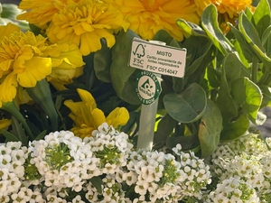 Fotografia com pormenor das placas FSC e Tetrapak.