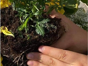 Fotografia da plantação das flores pelas crianças.