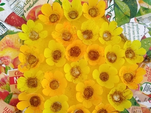 Pormenor do centro da flor.