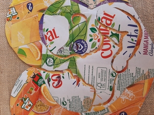 Pormenores da imagem: os símbolos da TetraPak e FSC em destaque na figura (zona central). O símbolo da TetraPak está entre as testas da mãe e do filho, o símbolo FSC está entre as zonas do queixo/pescoço.