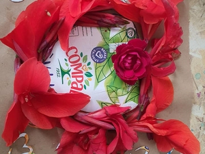 O coração da mãe é vermelho como as rosas e os nossos corações a baterem lado a lado.