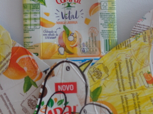 Pormenor do Selo.
